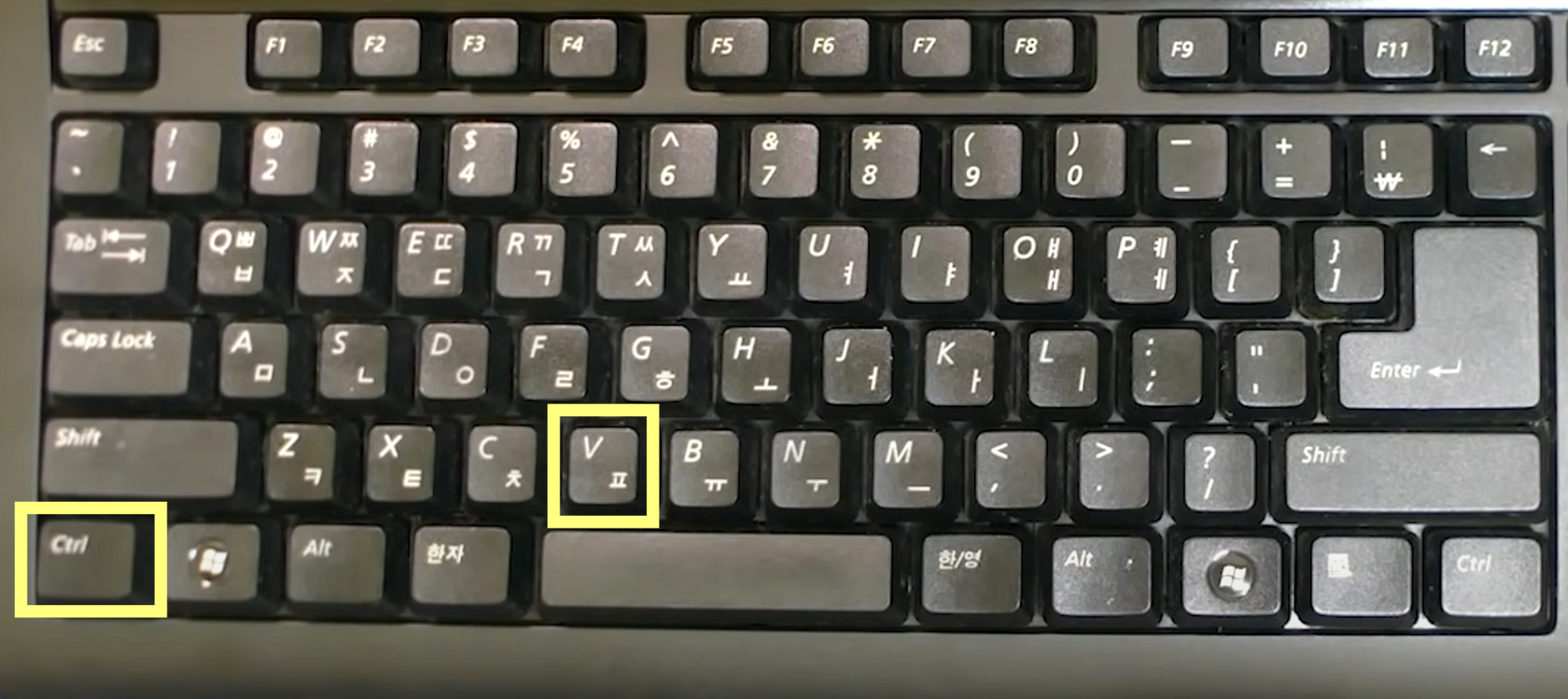 붙여넣기 (Ctrl + V)