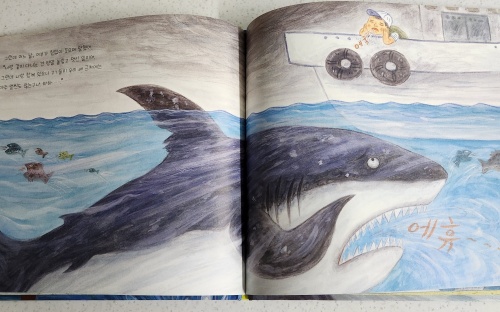 상어가 나타났다