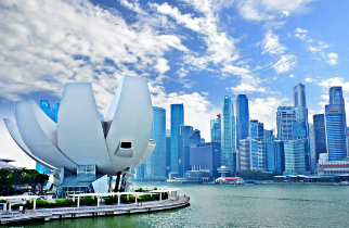 싱가포르-입국신고서