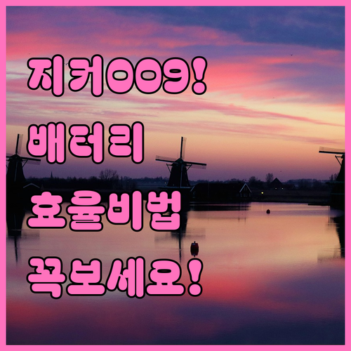 지커 009 대형 전기차의 효율적인 ..
