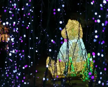 아침고요수목원_31