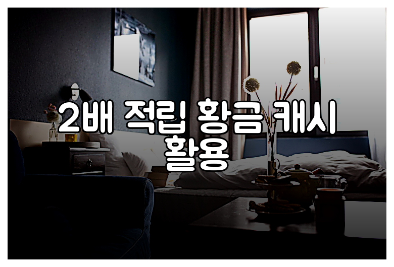 2배 적립 황금 캐시 활용
