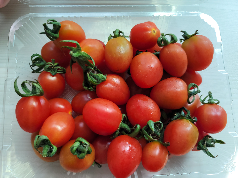 곰곰 스테비아 대추방울토마토