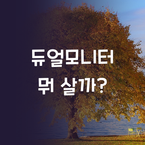 듀얼 모니터 고민 끝 LG 삼성 중소..