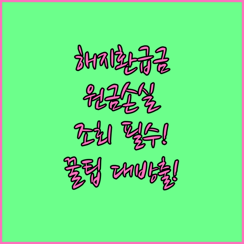 저축보험 해지환급금 조회 방법과 원금..
