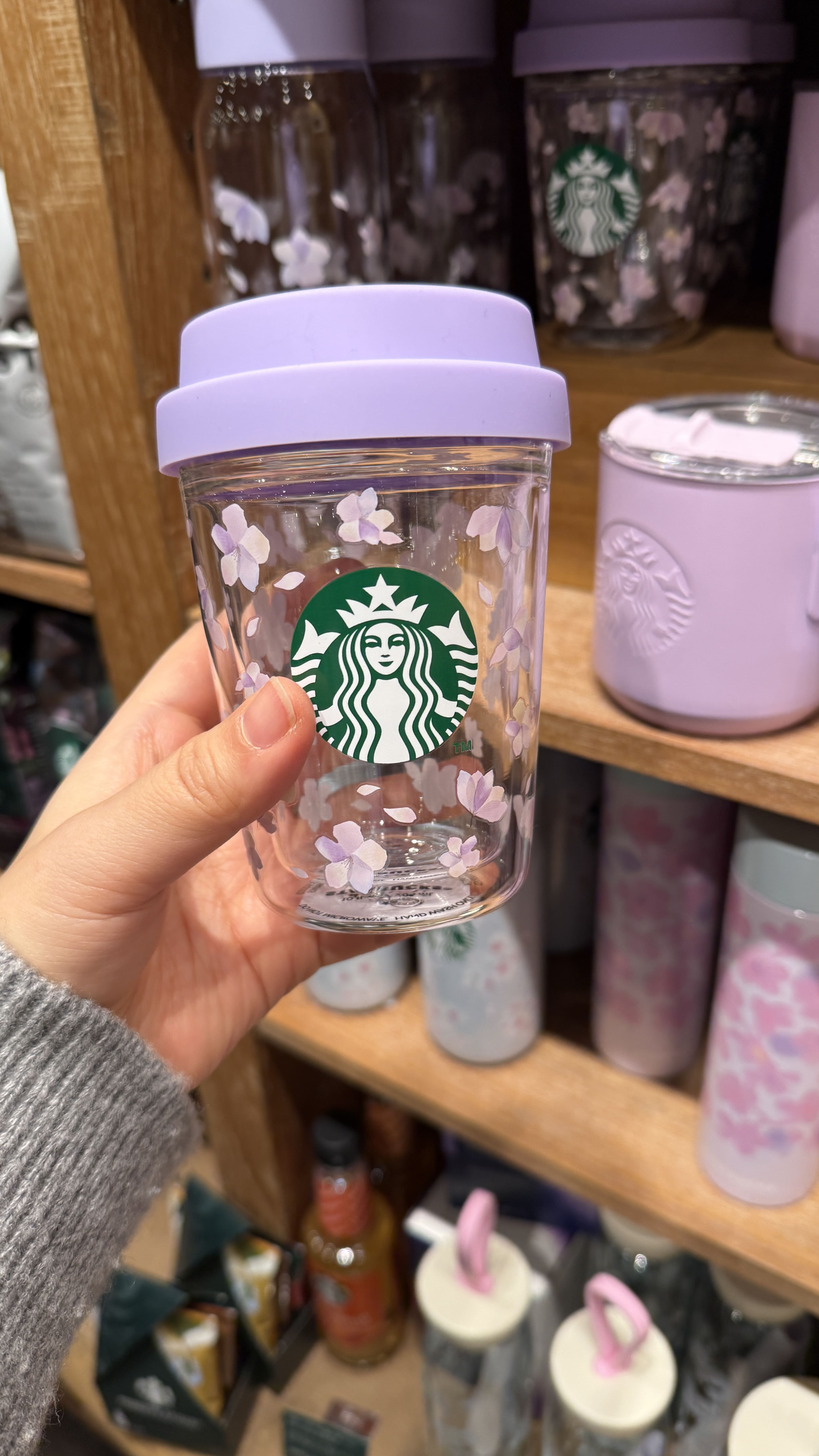 교토 봄 스타벅스