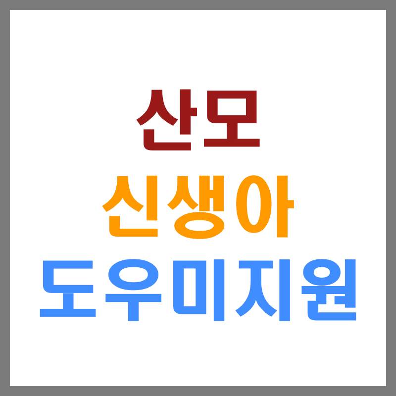 산모신생아 도우미 지원