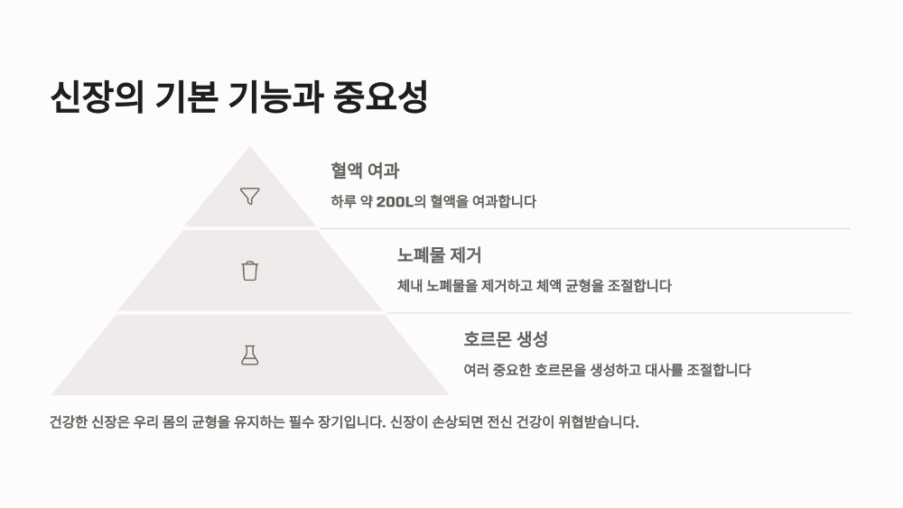 신장의 기본 기능과 중요성