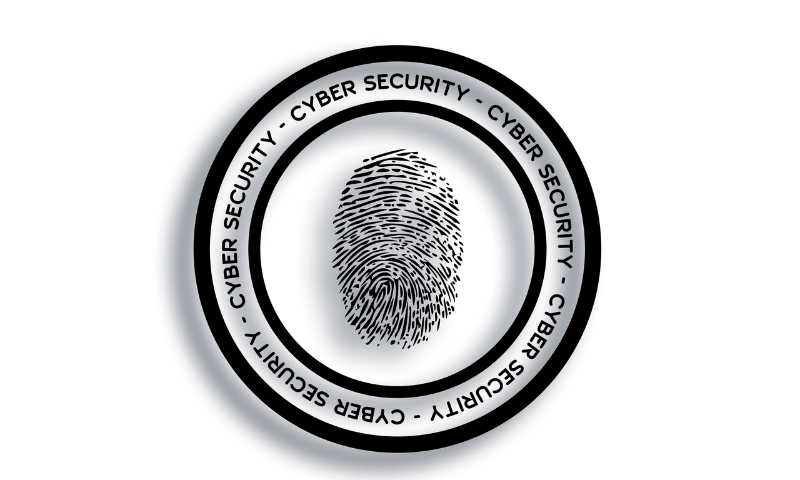 보안 강화 옵션. 지문인증