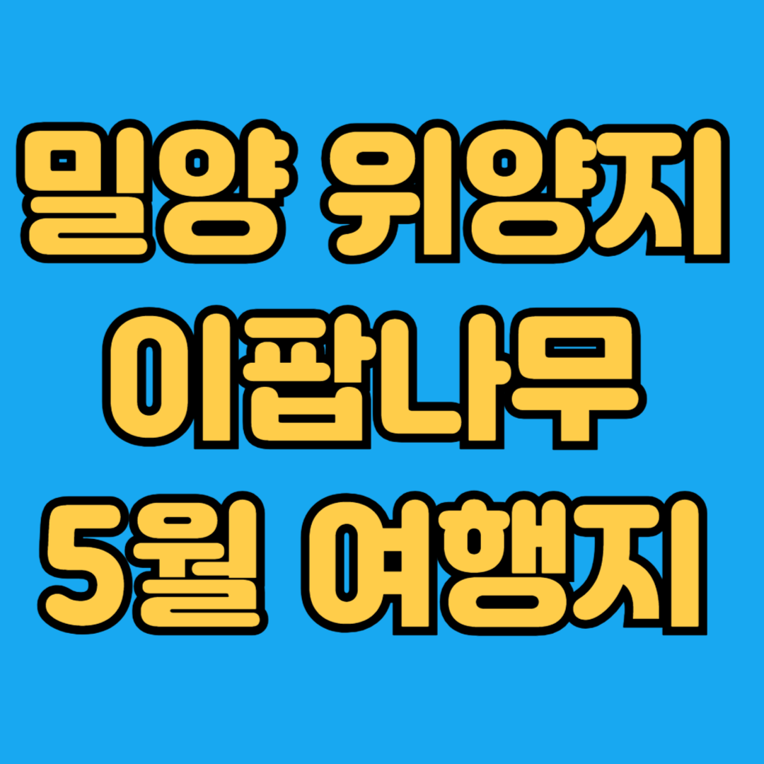 밀양 위양지 이팝나무 5월 여행지