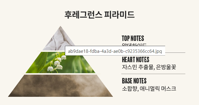 쓸때 마다 향수 뿌렸냐고 물어보는 향기 좋은 바디워시