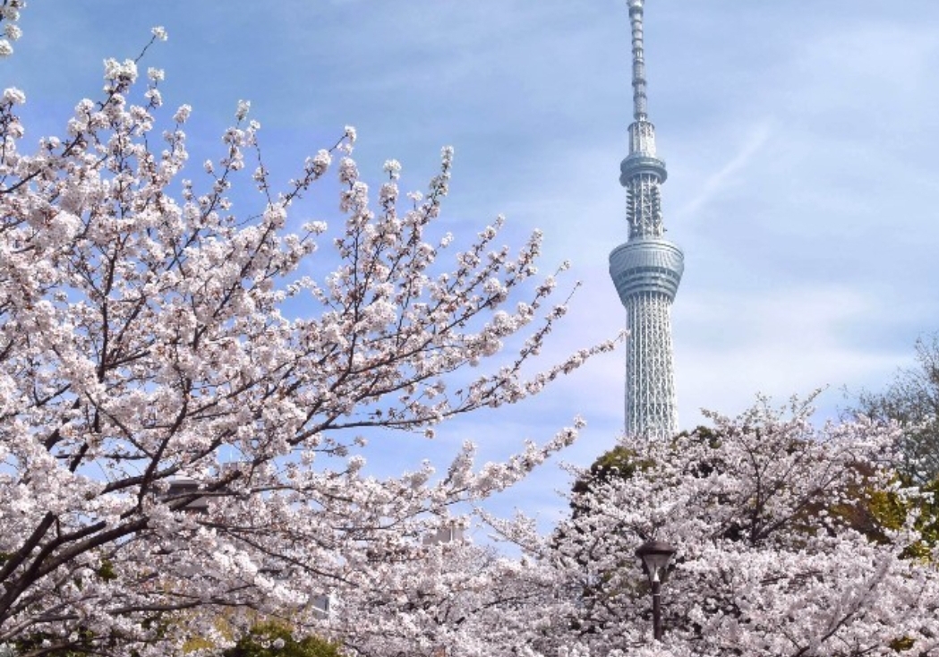 동경 도쿄 도시를 나타내는 사진들