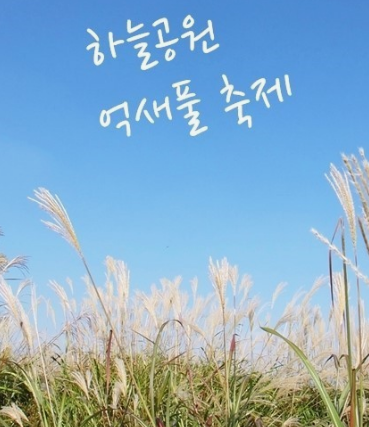 2024년 서울 억새 축제 일정