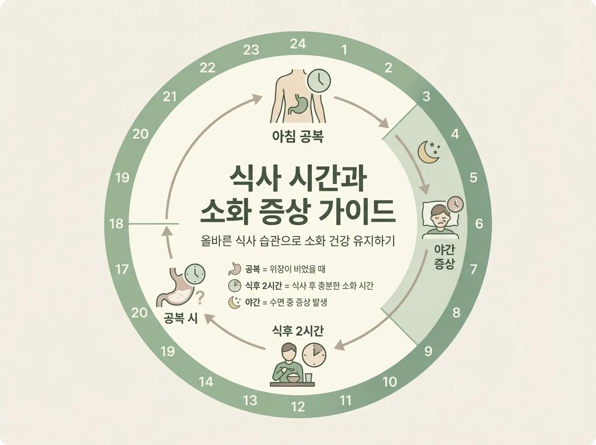 공복 시, 식후 2시간, 야간 증상 등 식사 시간대별 소화기 증상 발생 패턴 다이어그램