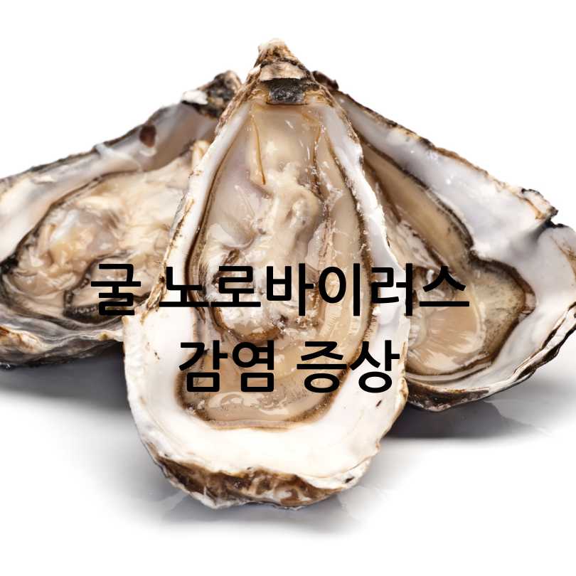 노로바이러스증상