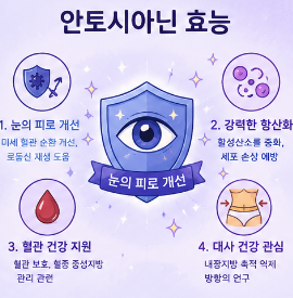 안토시아닌-효능-음식-종류-블루베리-영양제-추천-제품
