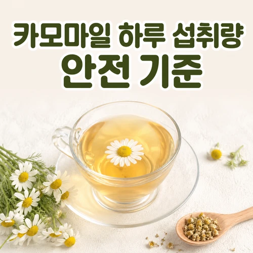 카모마일 하루 섭취량과 과다 섭취시 변화