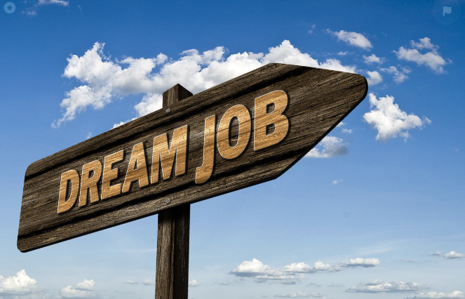 직업 관련 사진