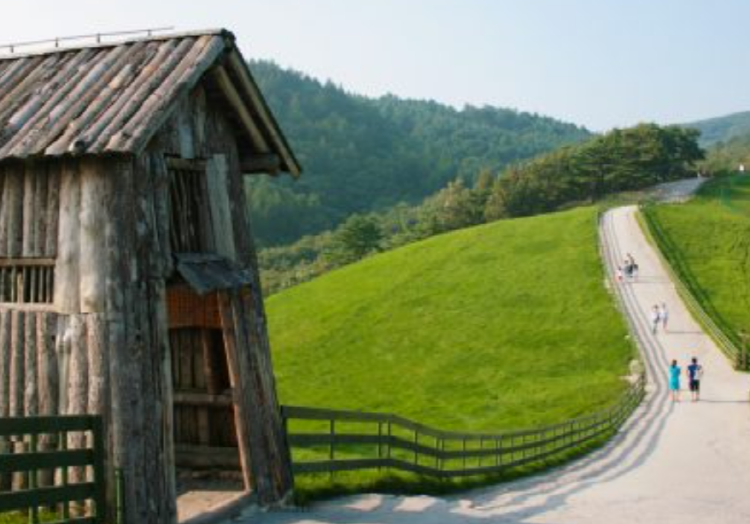 대관령 양떼목장