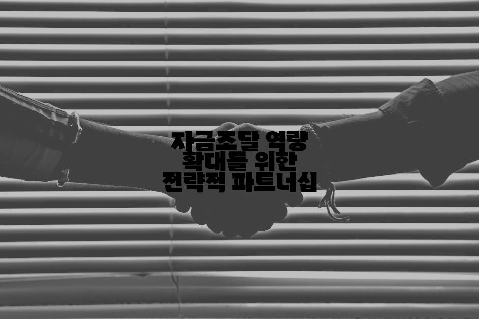 자금조달 역량 확대를 위한 전략적 파트너십