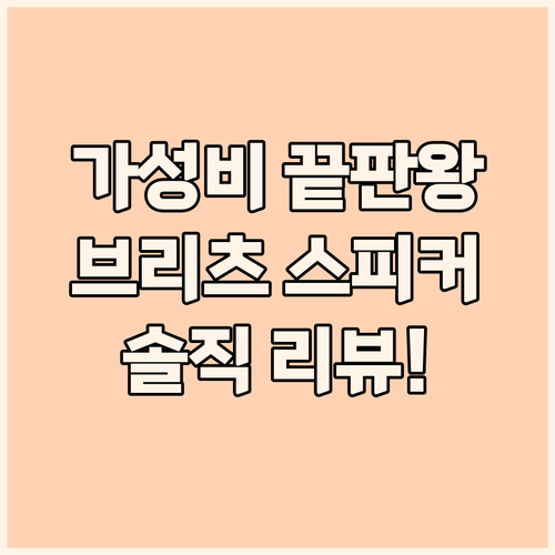 가성비 끝판왕 브리츠 블루투스 스피커..