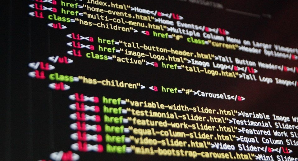 초보 개발자 입문 가이드