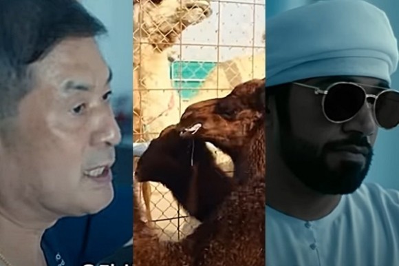 킹 오브 클론 :황우석 박사의 몰락