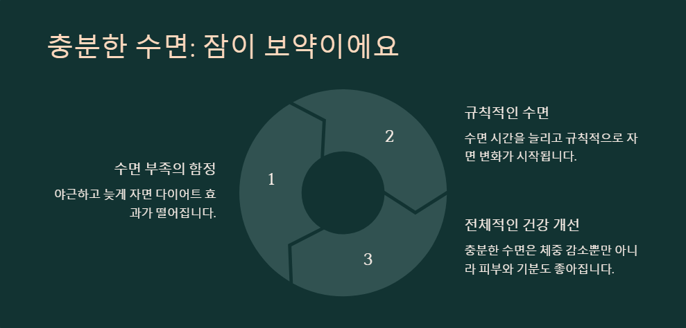 다이어트 성공을 위한 필수 습관 5가지