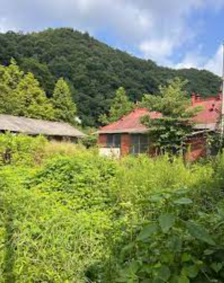 집중호우 시 행동요령 완벽 가이드