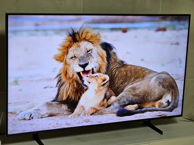 삼성 사이니지 비즈니스 TV 4K 유튜브 재생 화면 (사자)