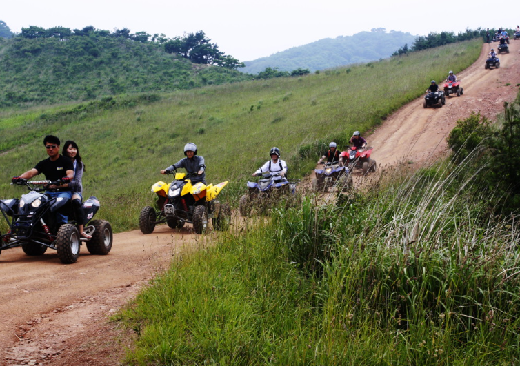 엑스라이프 정보