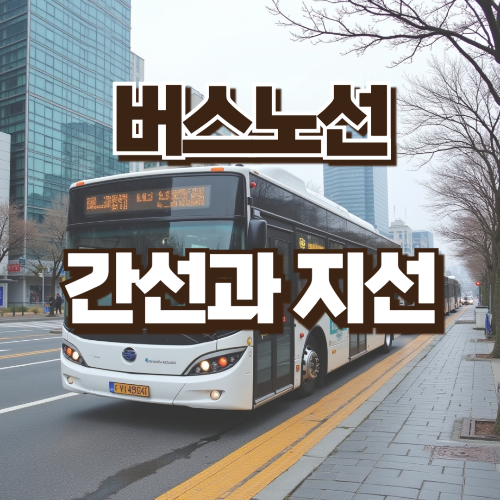 버스노선 간선과 지선