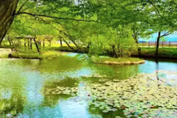 고성 가볼만한곳