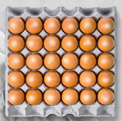 계란 껍데기 숫자 보는 법, 사육환경 표시제 완벽 정리