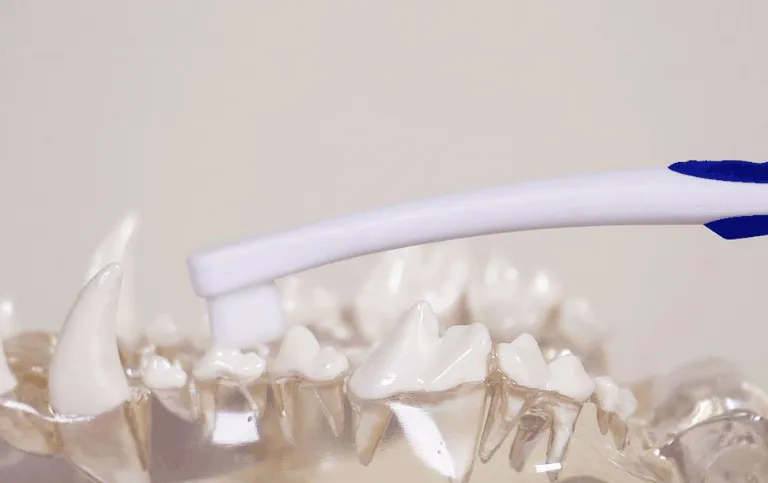 고양이-칫솔-추천-정글몬스터-덴티소프트-극세사모-칫솔