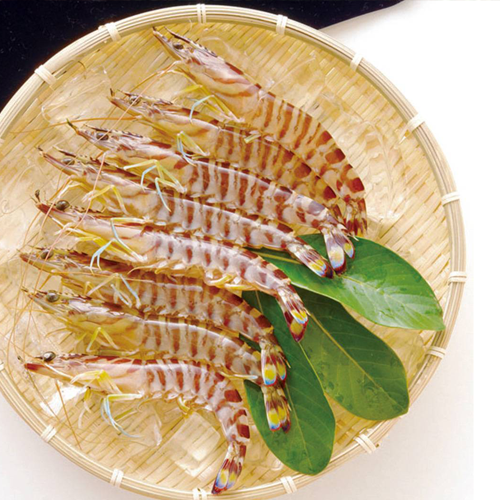 보리새우의 효능과 요리법&amp;#44; 부작용 알아보기