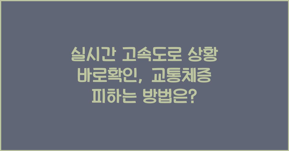 실시간 고속도로 상황 바로확인
