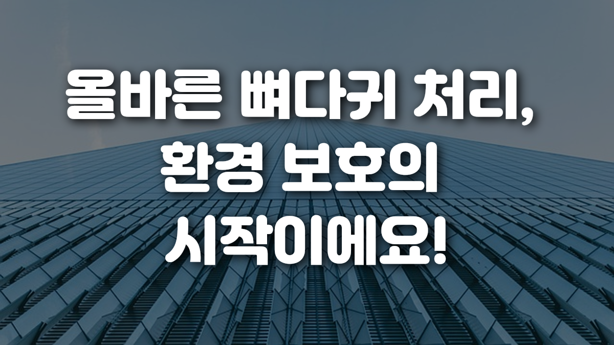 올바른 뼈다귀 처리 환경 보호의 시작이에요