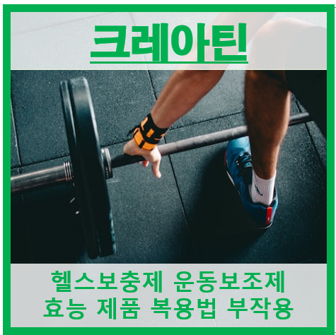 크레아틴 썸네일