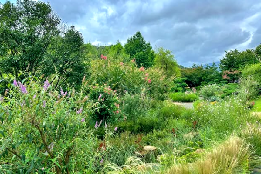 특색있고 아름다운 민간 정원 30선 추천 여행 - 08. 해남 문가든