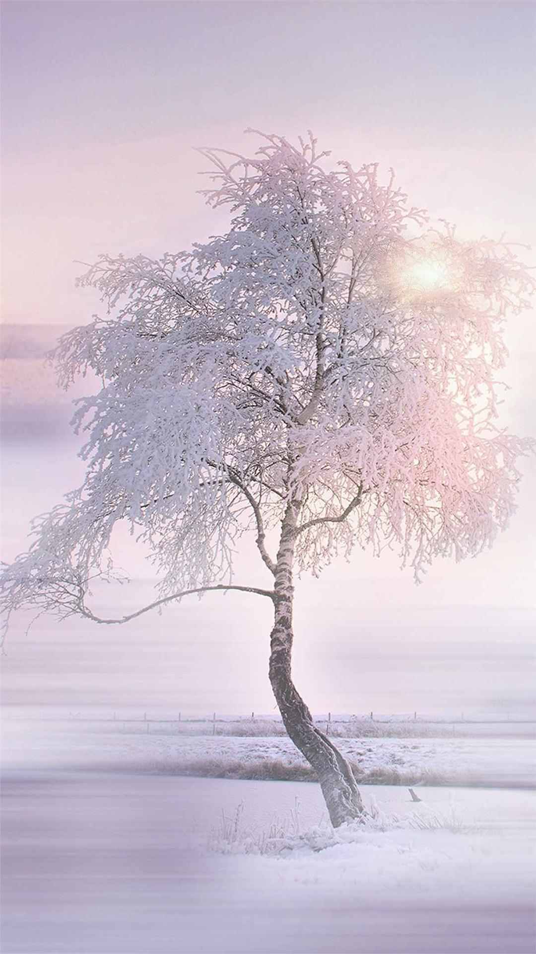 snow wallpaper