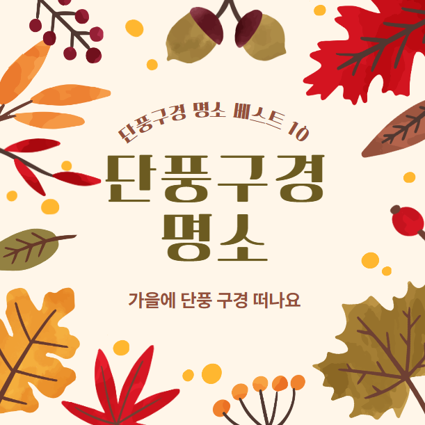 가을 단풍구경 베스트 10