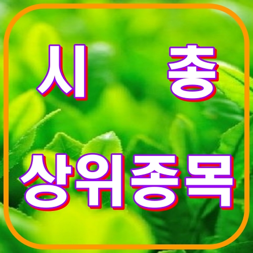 시총상위종목