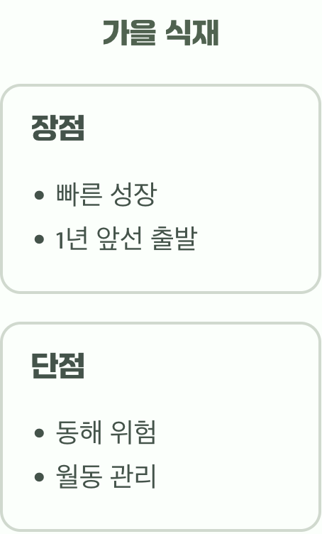 그렇다면, 나의 선택은?