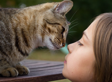 콧방귀를 뀌는 여자와 고양이.