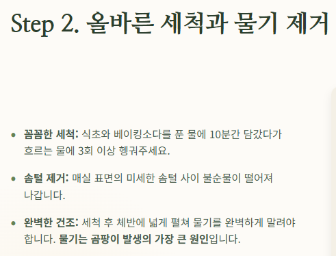 매실청 담그는법