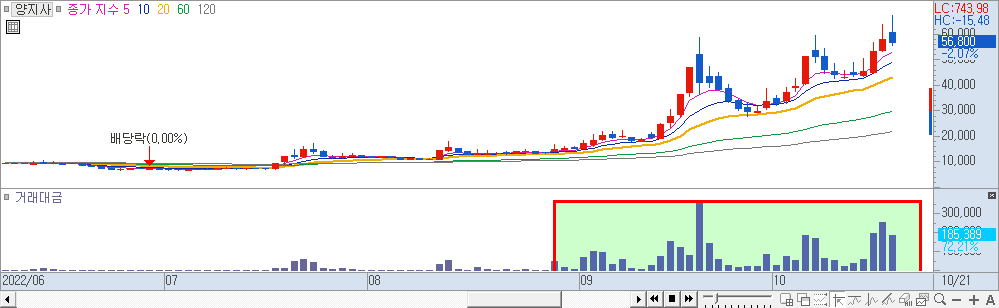 양지사 일봉 차트