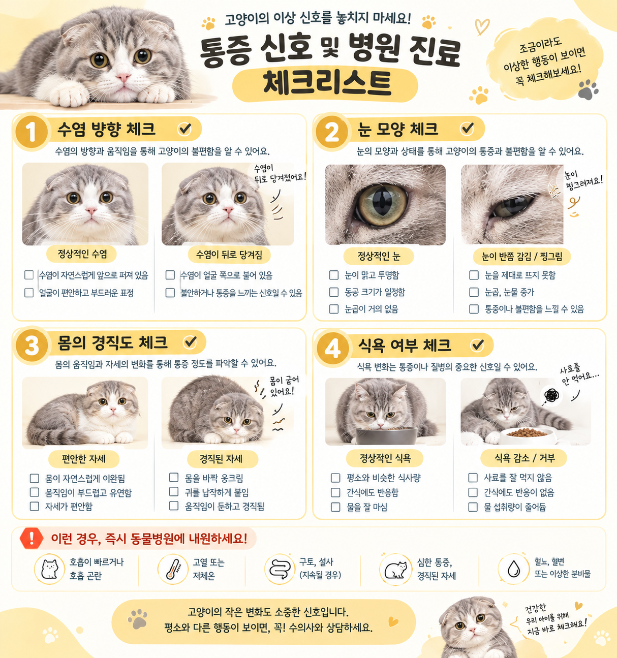 고양이 통증 신호 및 병원 진료 체크리스트
