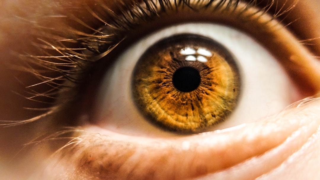 Eye