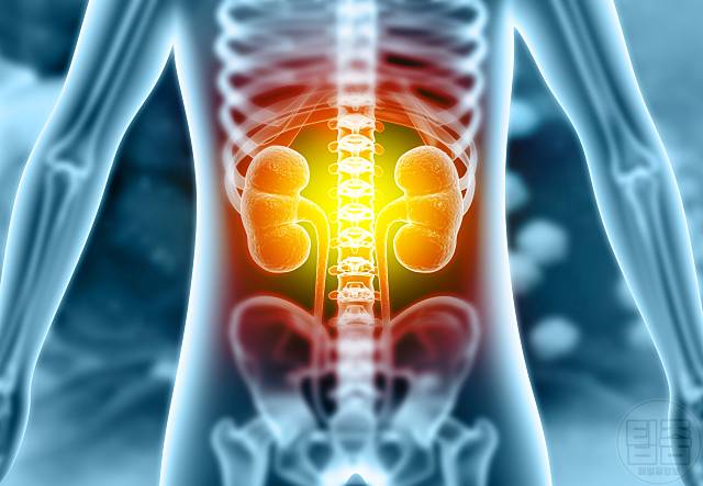 신장 나쁜 습관 신장에나쁜음식 신장에나쁜약 신장에나쁜운동